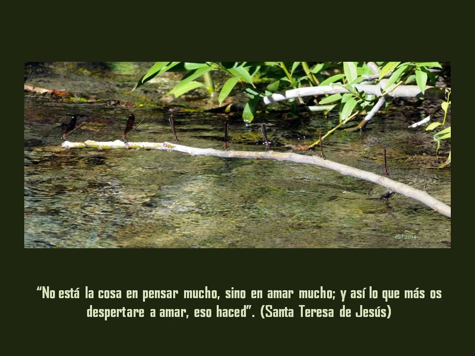 Fitxer adjunt no esta la cosa en pensar mucho.JPG