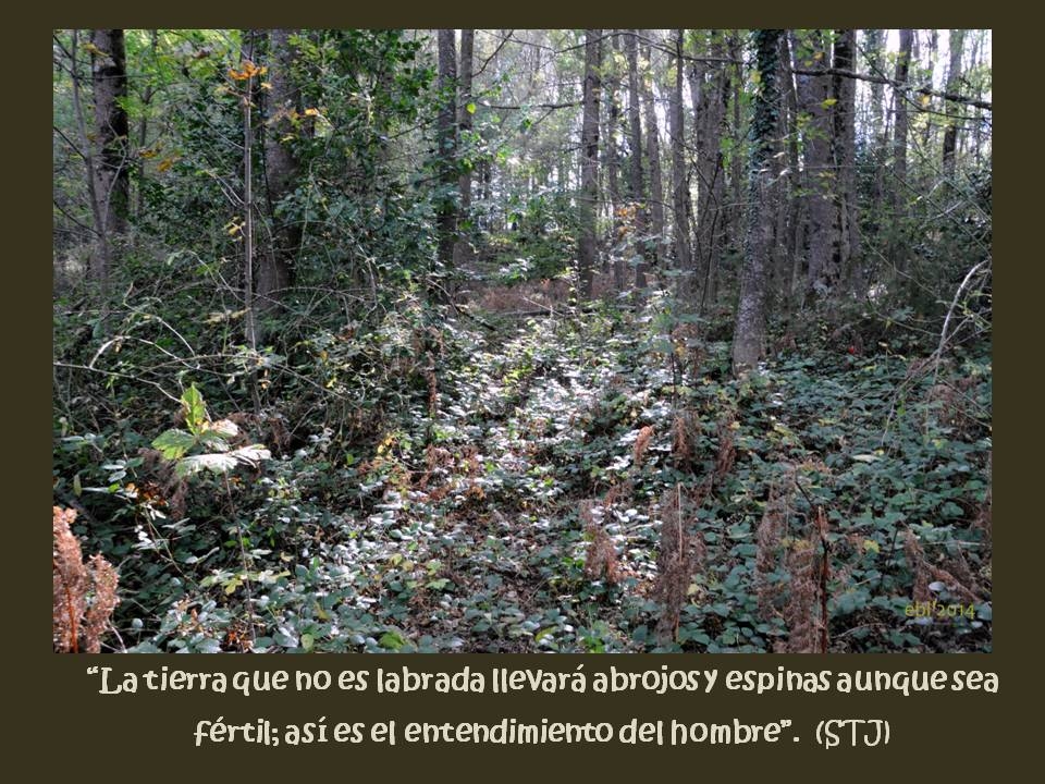 Fitxer adjunt la tierra que no es labrada.JPG