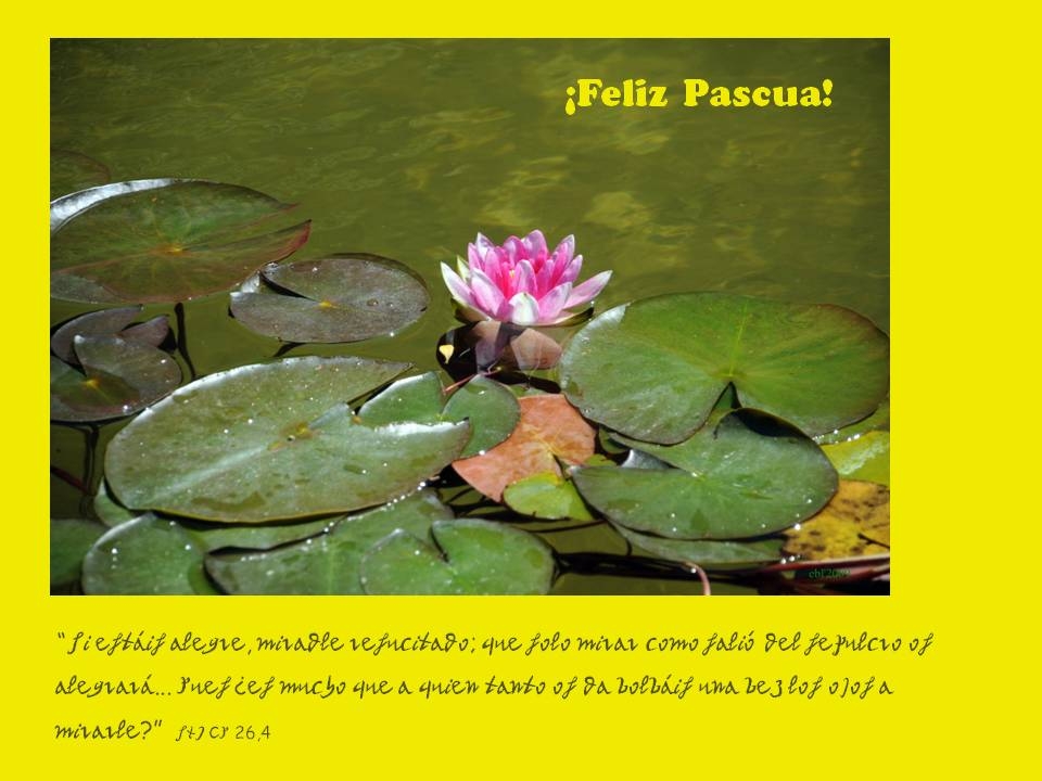 Attachment 29 si estais alegre feliz pascua.JPG