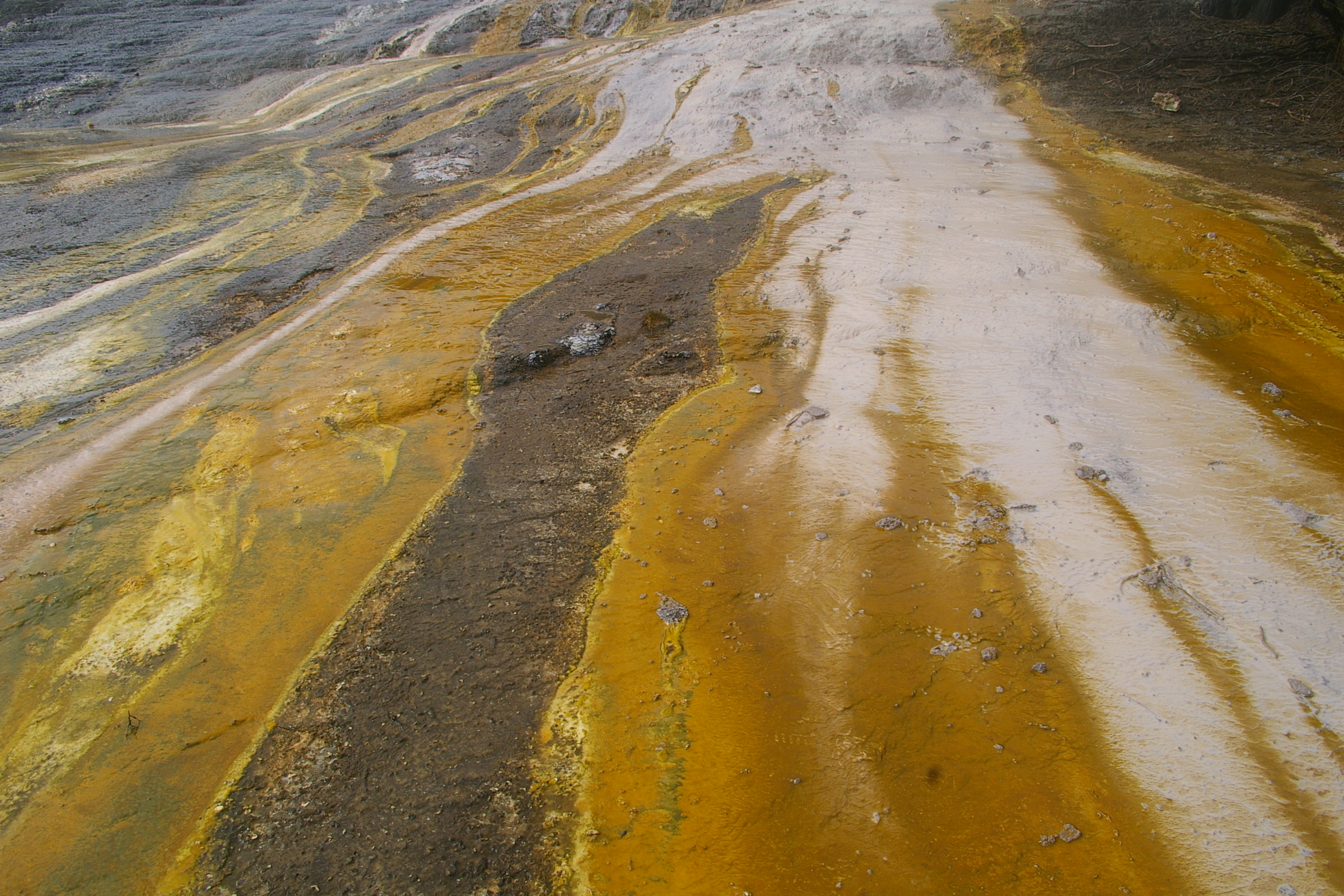 Fitxer adjunt IMGP3308.JPG