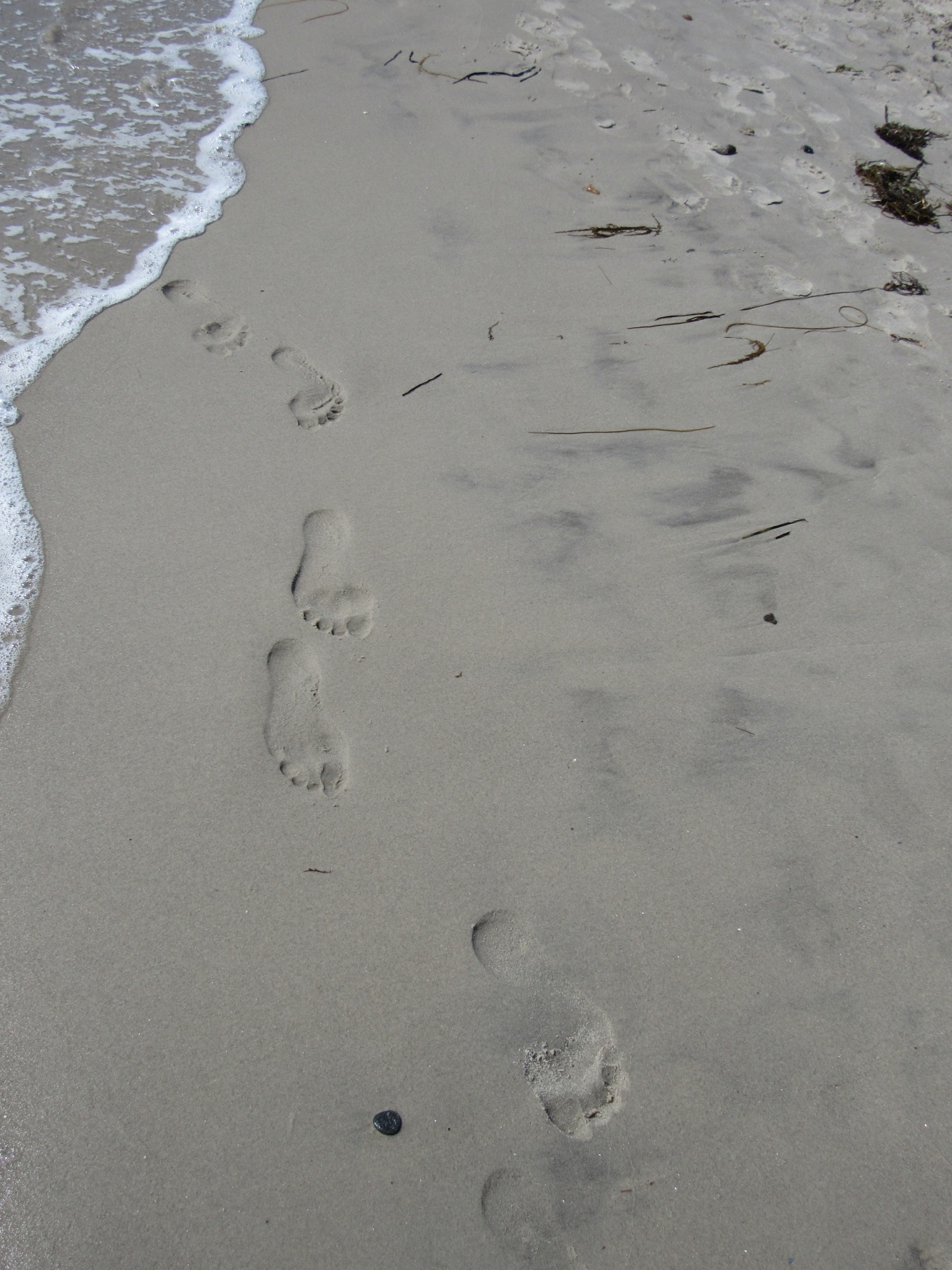 Fitxer adjunt IMG_0854.JPG